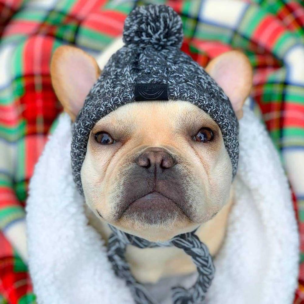 Gorros de punto cálidos para mascotas con bola esponjosa para otoño e invierno 