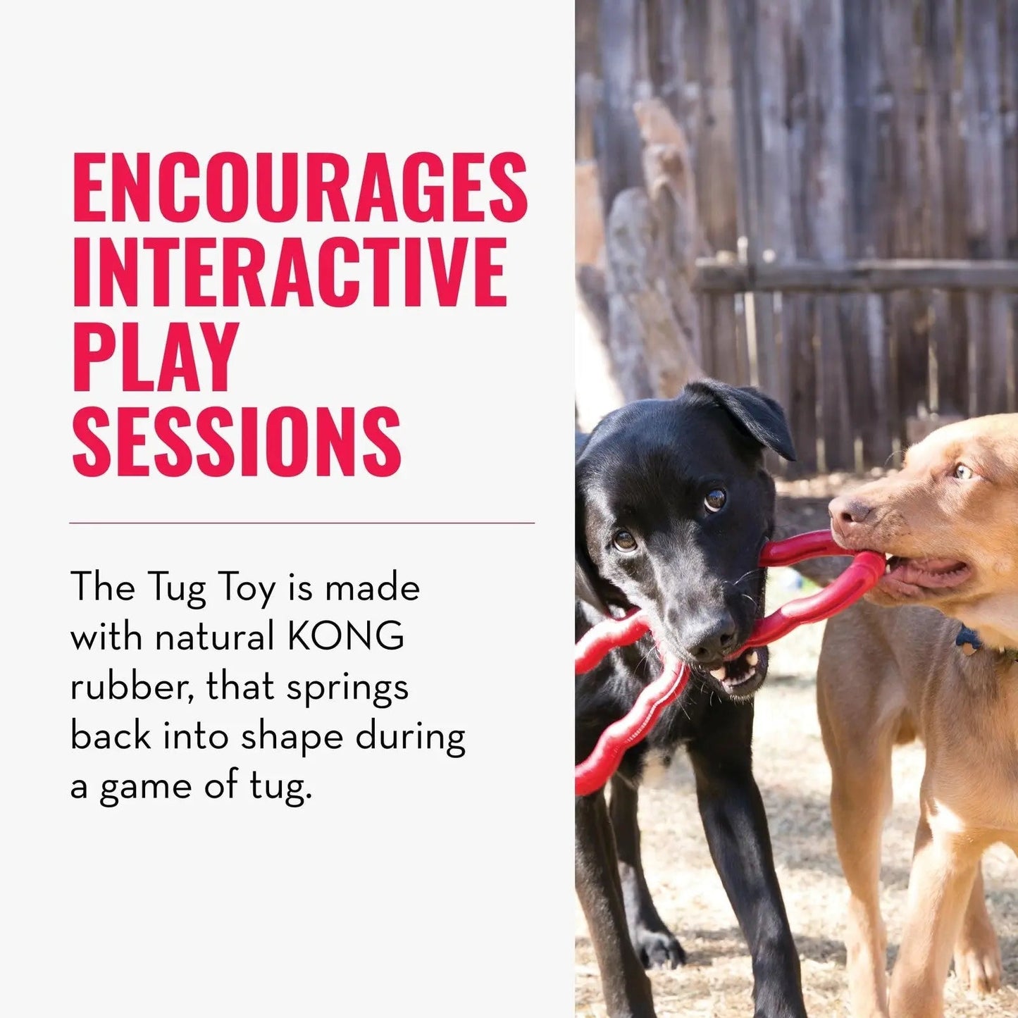 KONG - Jeu de tir à la corde - En caoutchouc extensible et résistant - pour chiens de taille moyenne