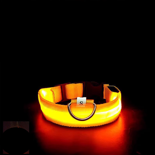 Collier lumineux LED pour animaux de compagnie Milou &amp; Lumi - Jaune