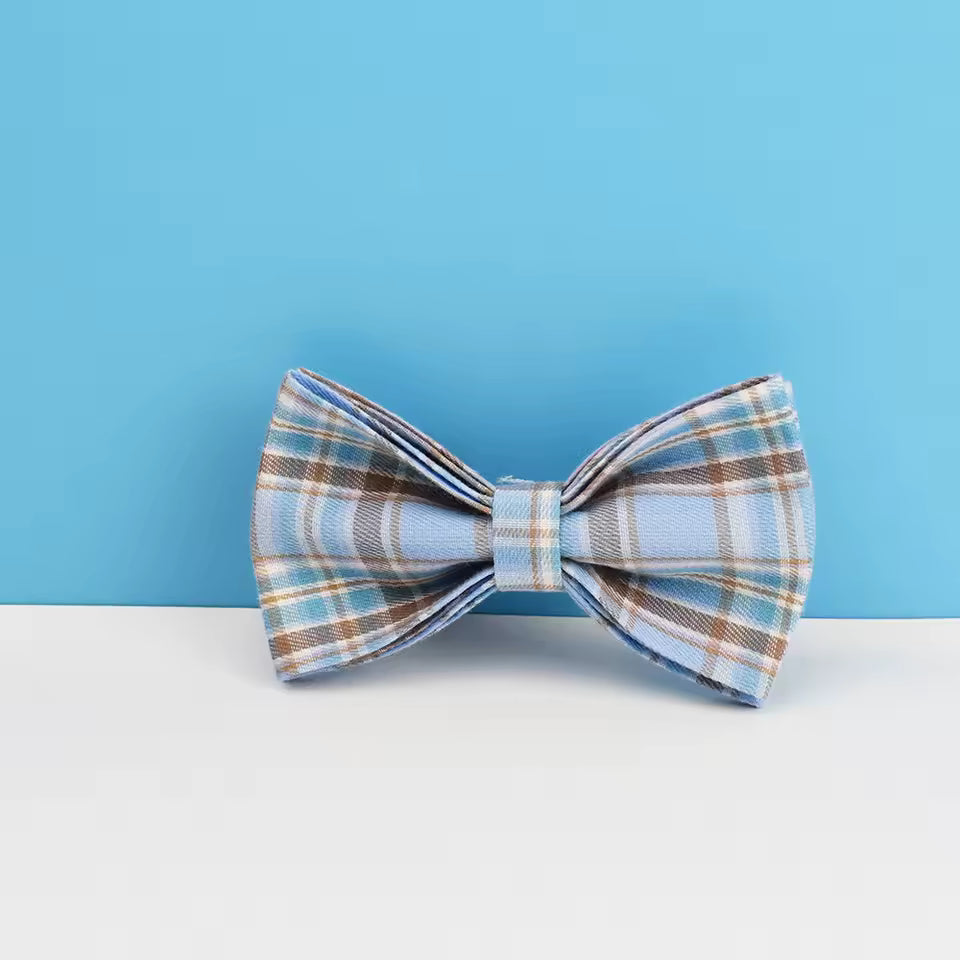 Ensemble collier, laisse et harnais pour chien, motif à carreaux bleus