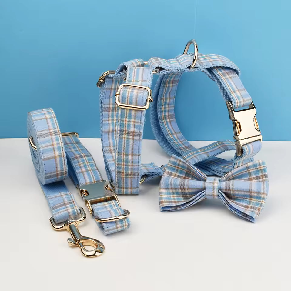 Ensemble collier, laisse et harnais pour chien, motif à carreaux bleus
