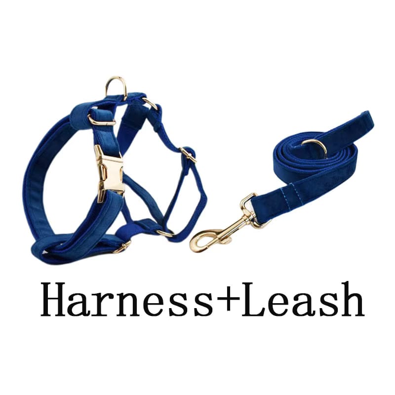 Conjunto clásico de terciopelo azul personalizado