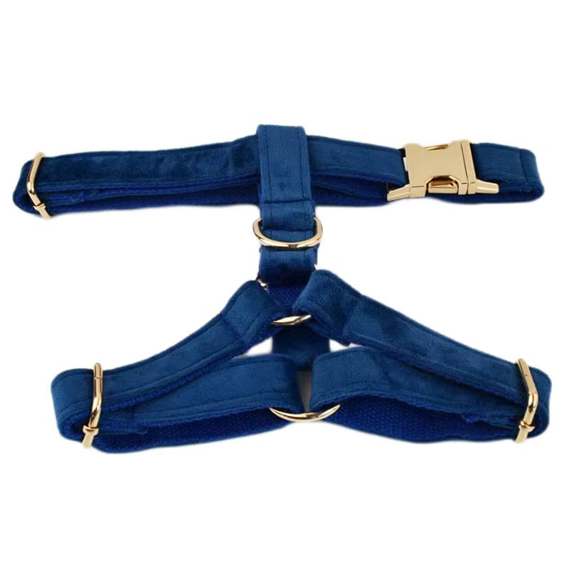 Conjunto clásico de terciopelo azul personalizado