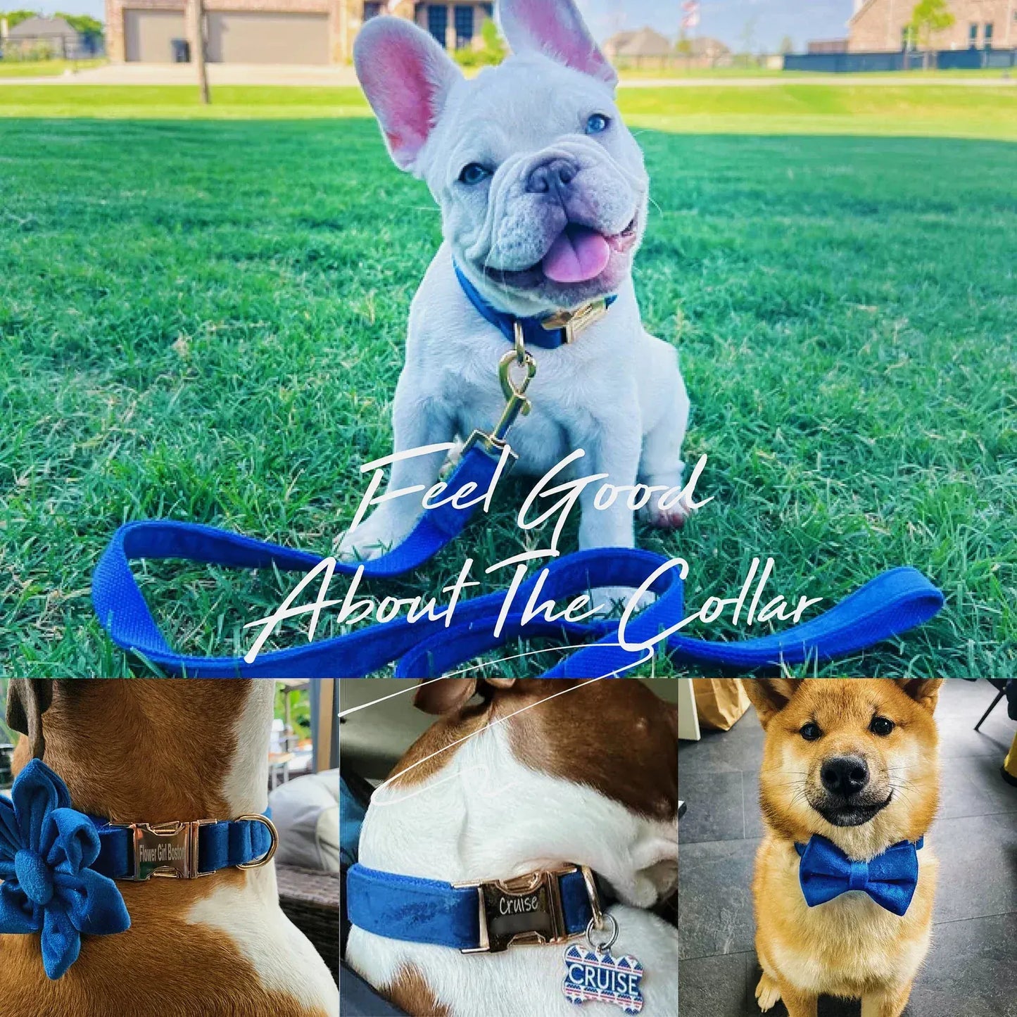 Conjunto clásico de terciopelo azul personalizado