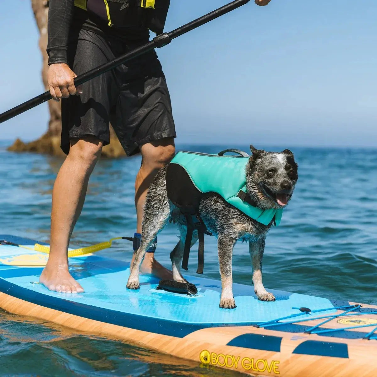 Body Glove Neoprene Pet Life Jacket