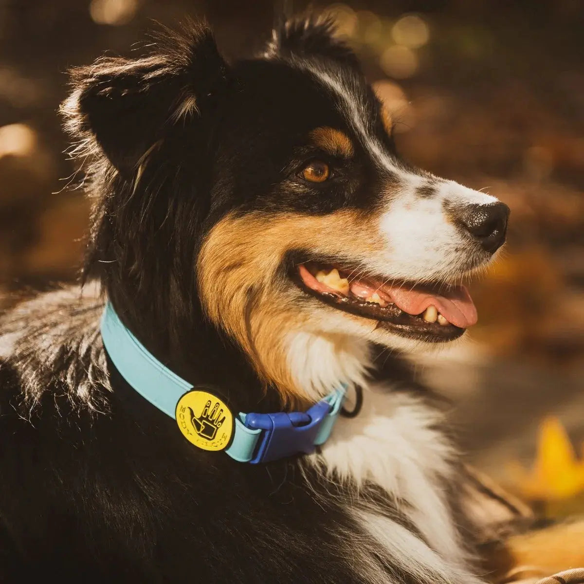 Collier pour chien Body Glove en Biothane
