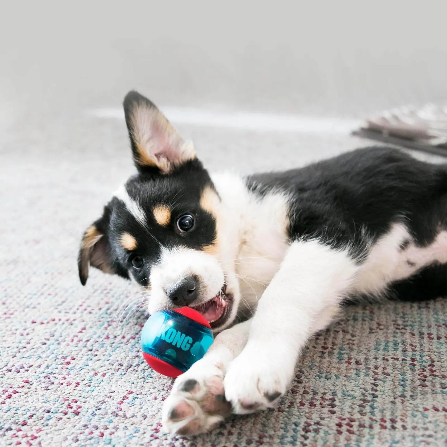 Jouet pour chien KONG Squeezz Action Shapes petit modèle rouge, multi-texturé et couineur.