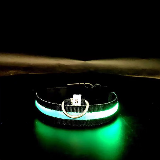 Collier lumineux LED pour animaux de compagnie Milou &amp; Lumi - Arc-en-ciel