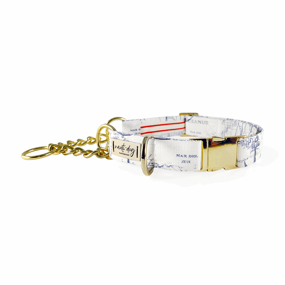 Collier pour chien Carta Marina Light Vintage Nautical Toile Buckle &amp; Martingale