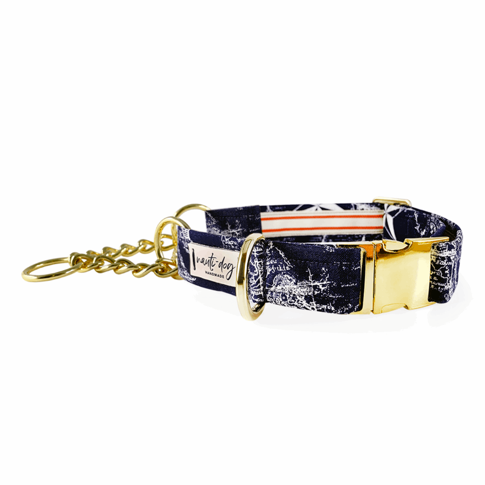 Collier pour chien Carta Marina Navy Vintage Nautical Toile Buckle &amp; Martingale