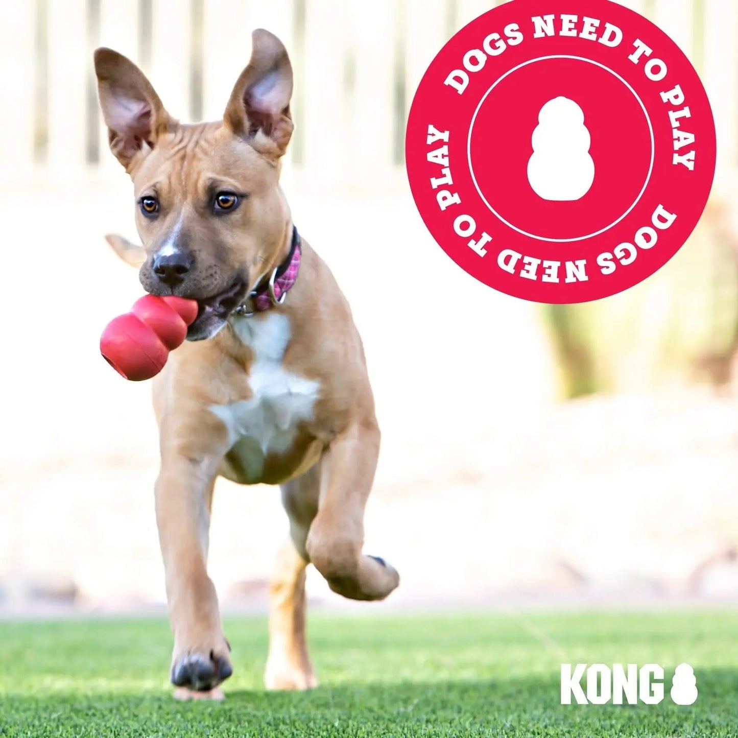 KONG - Jeu de tir à la corde - En caoutchouc extensible et résistant - pour chiens de taille moyenne