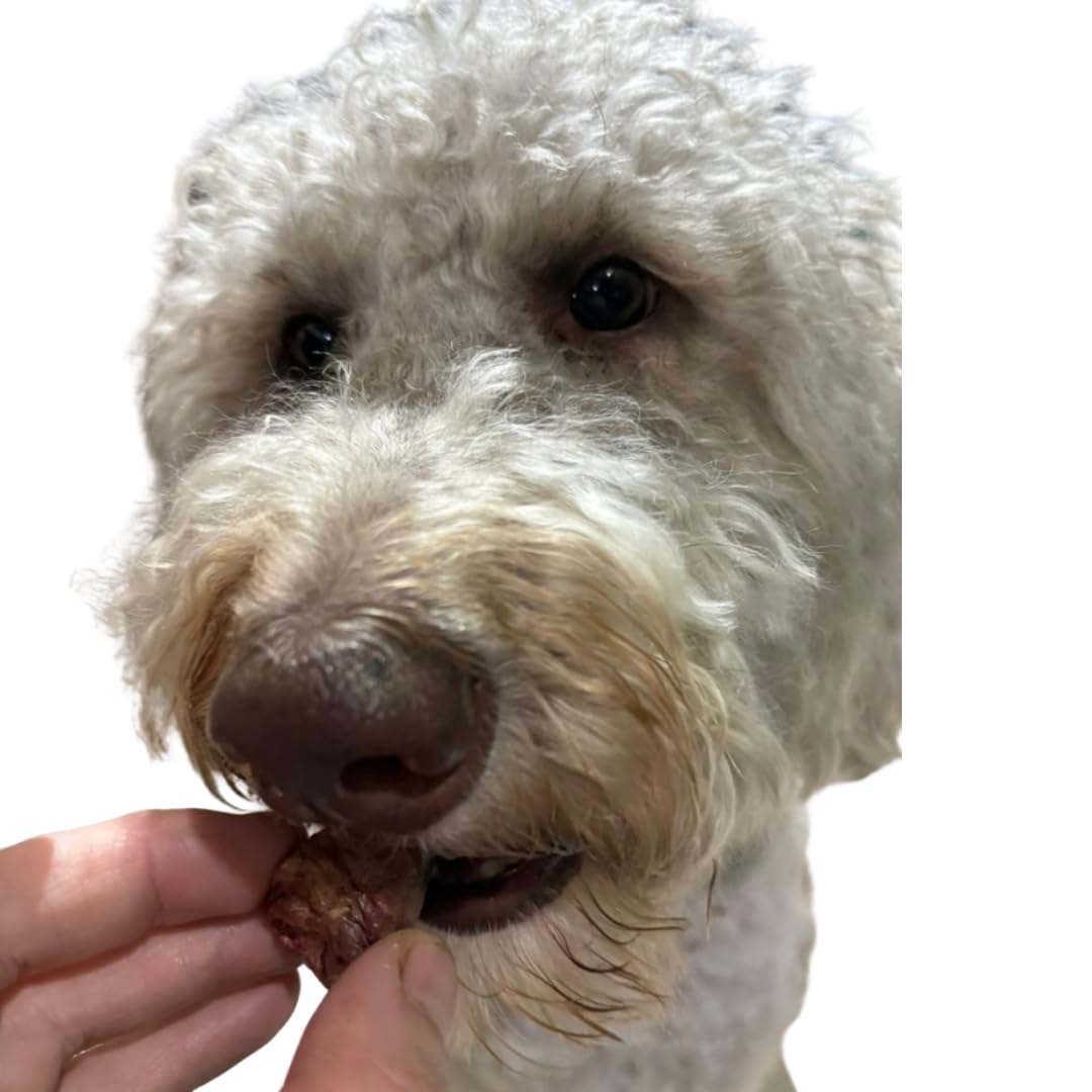 Cœurs de canard lyophilisés, 85 g, friandises à ingrédient unique pour chiens et chats, fabriquées aux États-Unis
