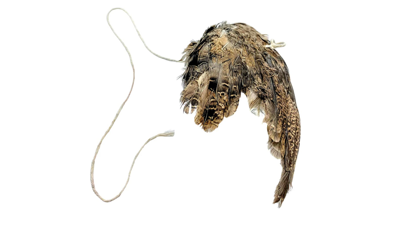 Jouet pour chat en forme d'aile d'oiseau suspendue à une ficelle - Accessoires et fournitures de dressage pour chiens et chats, jeu interactif à l'odeur d'aile de caille, dressage pour chiens de chasse et chats (rapport d'oiseaux).