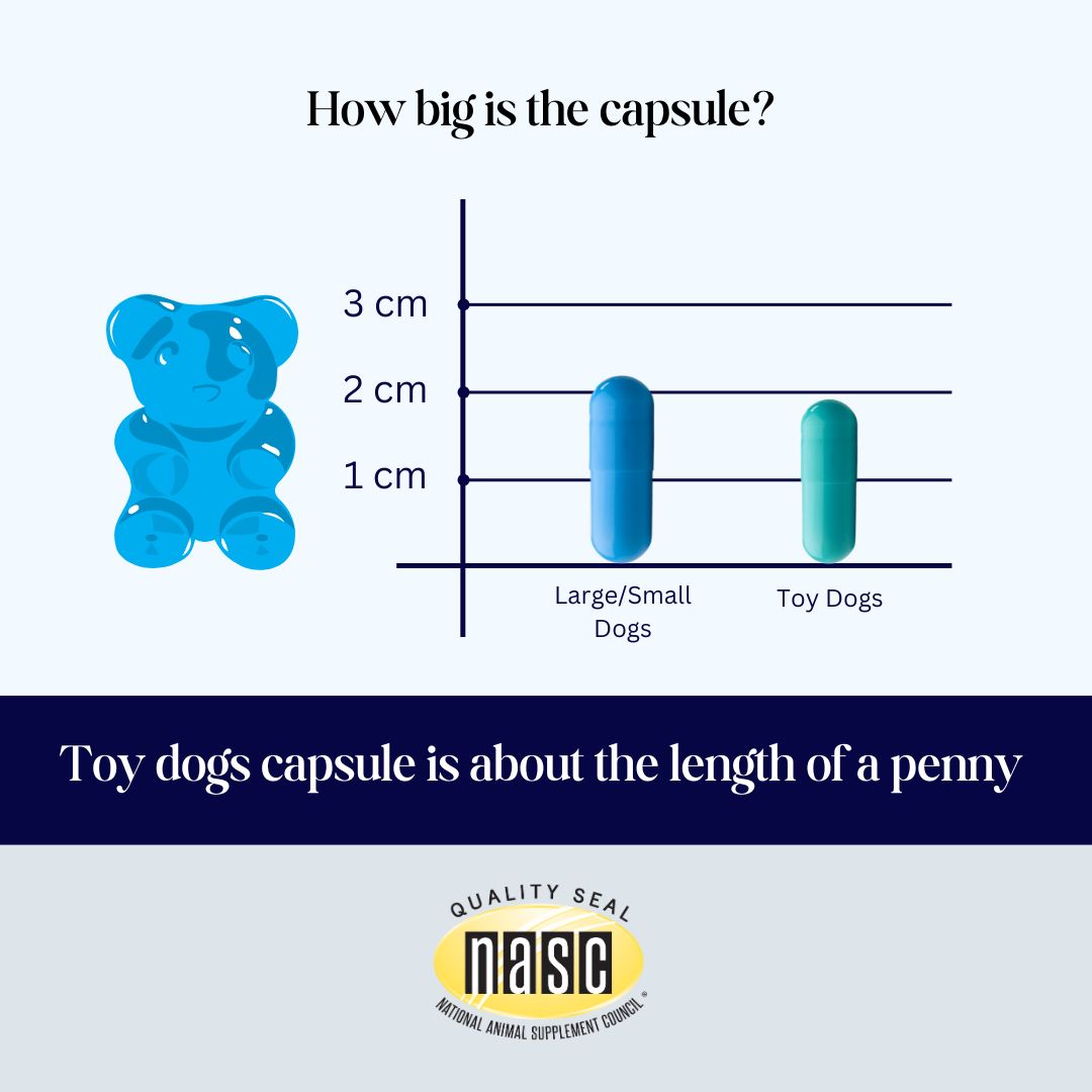 CogniCaps - Canine Cognitive Function Supplement for Dogs