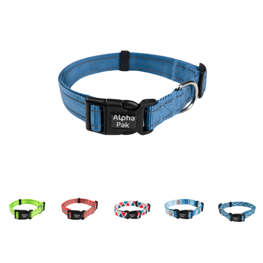 Collier pour chien Everyday Adventure