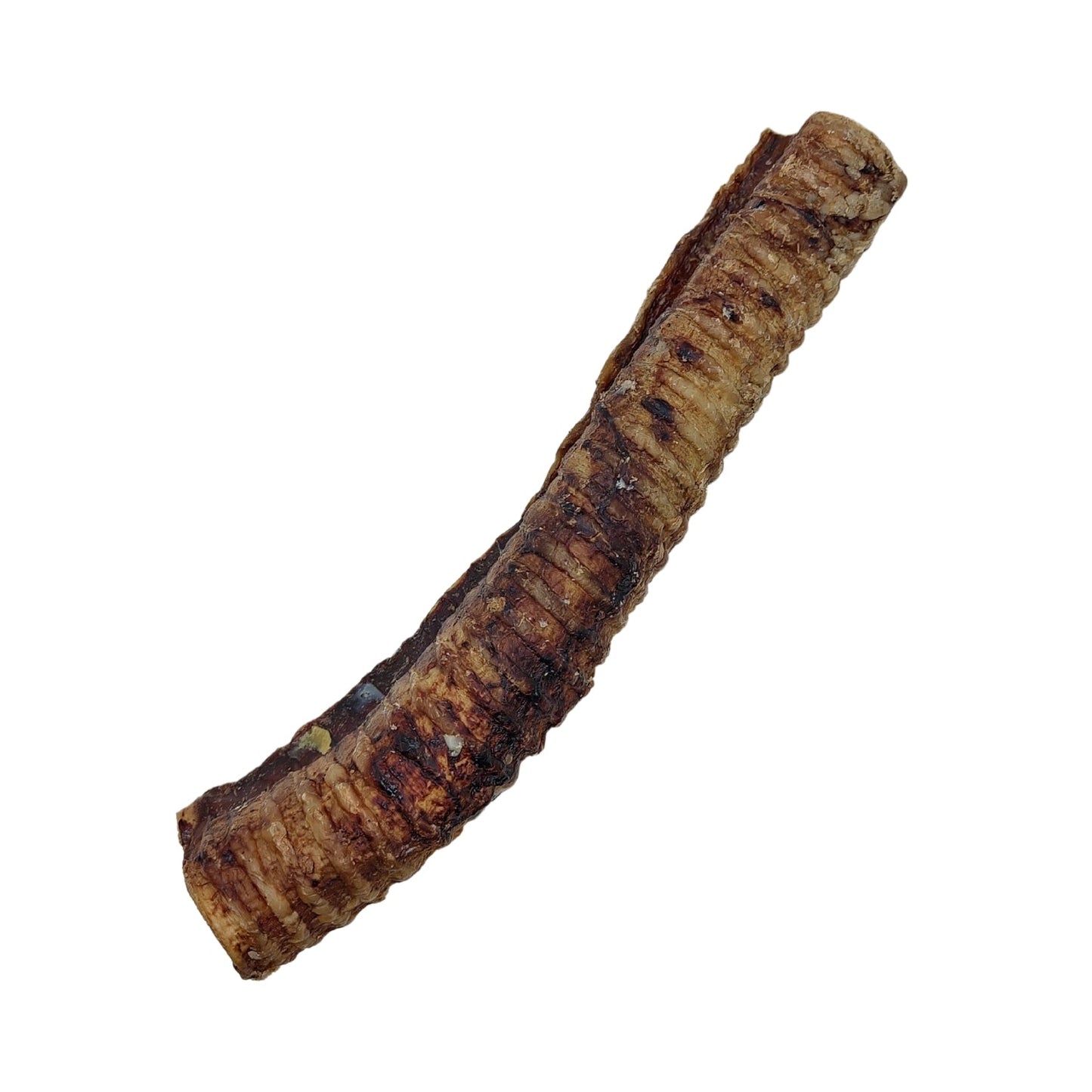 Friandises pour chiens Country Living à base de trachée de bœuf entièrement naturelle, à mâcher riches en protéines – 30 cm (paquet de 5) 