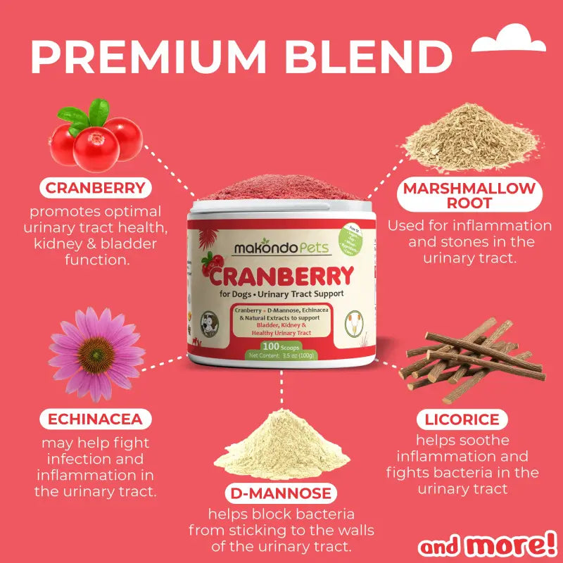 Arándano para perros. Apoyo para el tracto urinario. 100 cucharadas