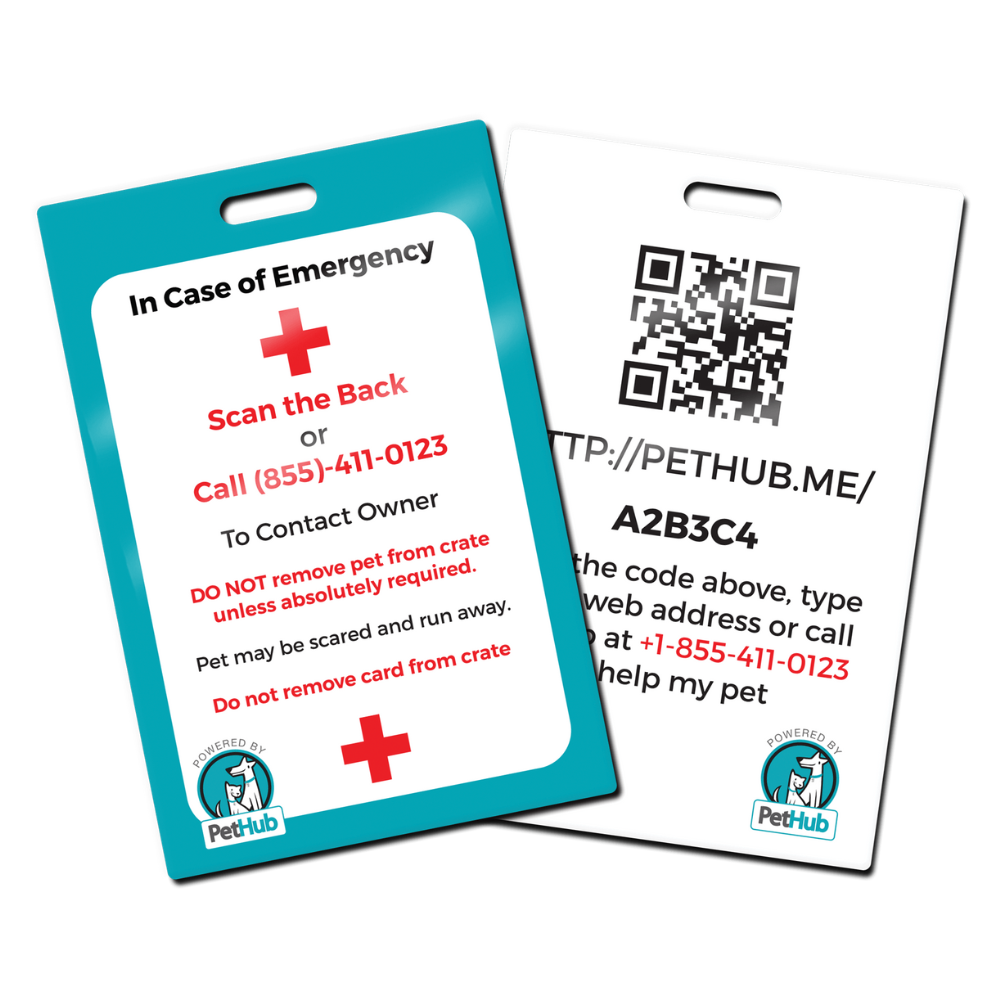 Identification QR pour animaux de compagnie : Carte de transport pour cage