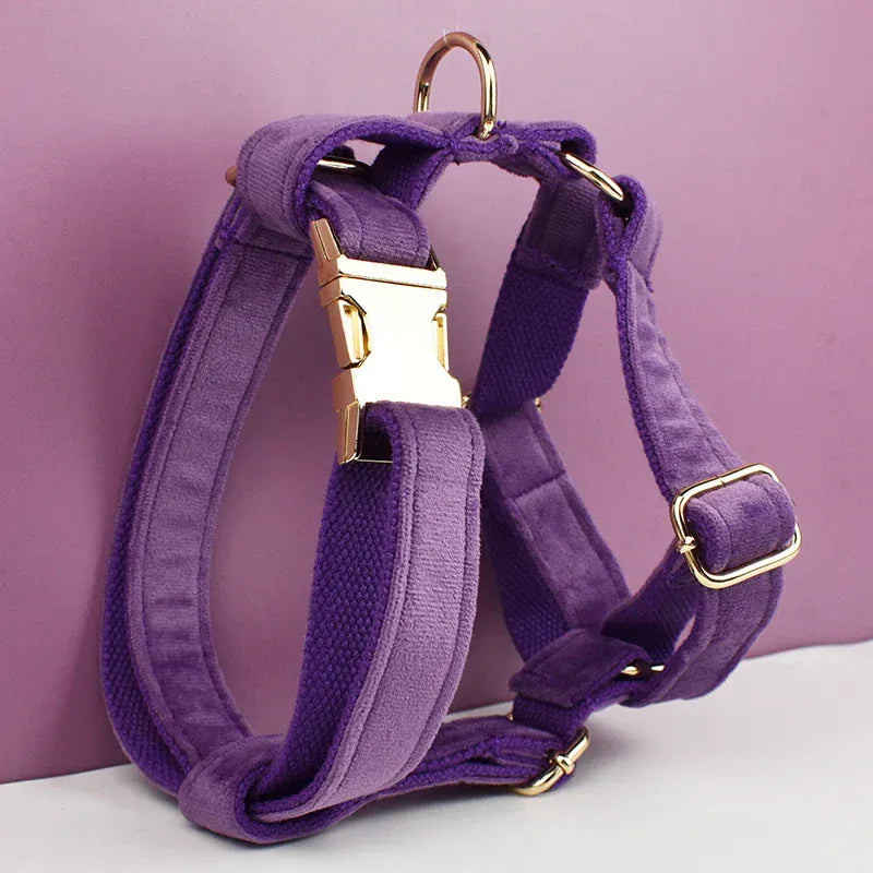 Ensemble classique personnalisé en velours violet