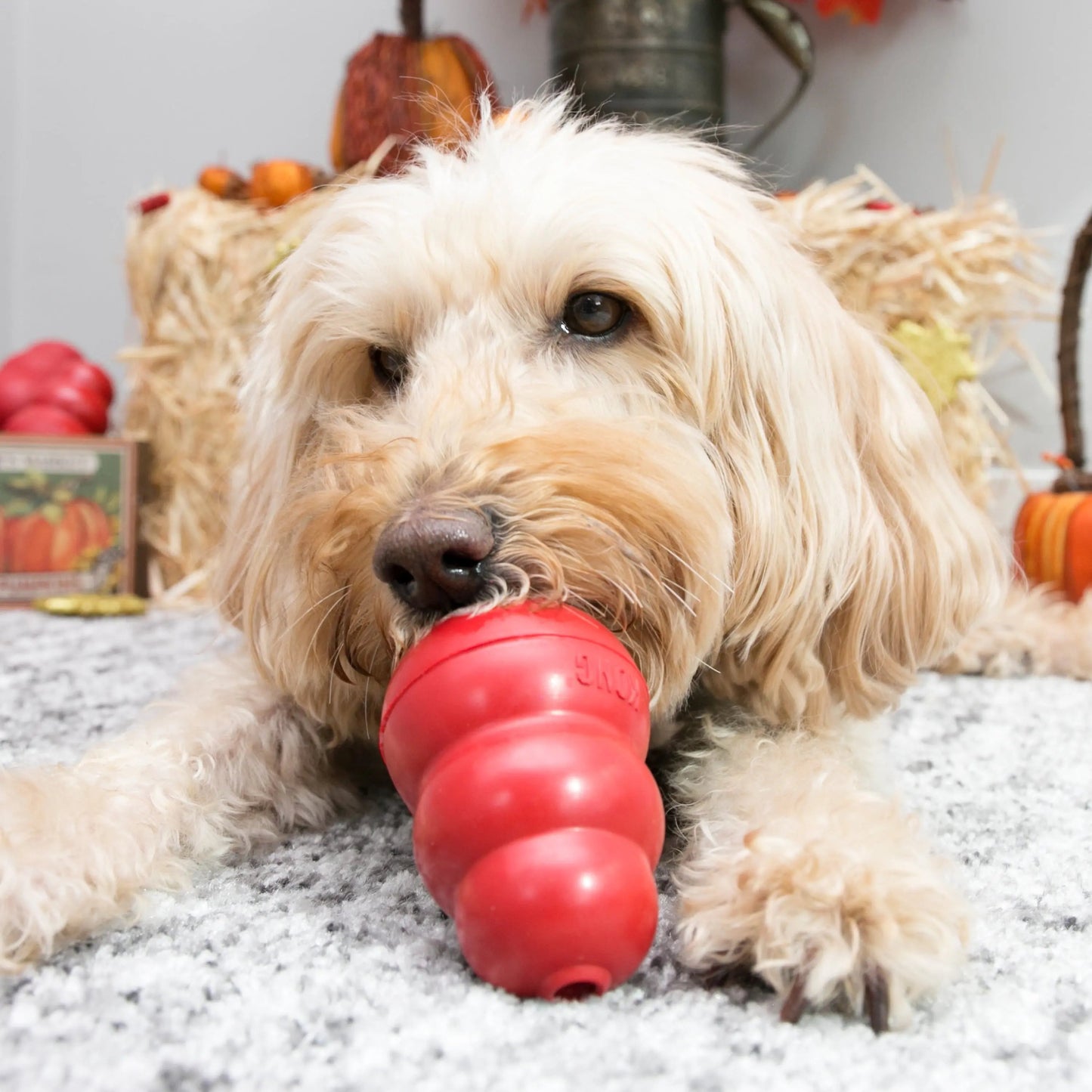 ® Juguete masticable clásico para perros, mediano