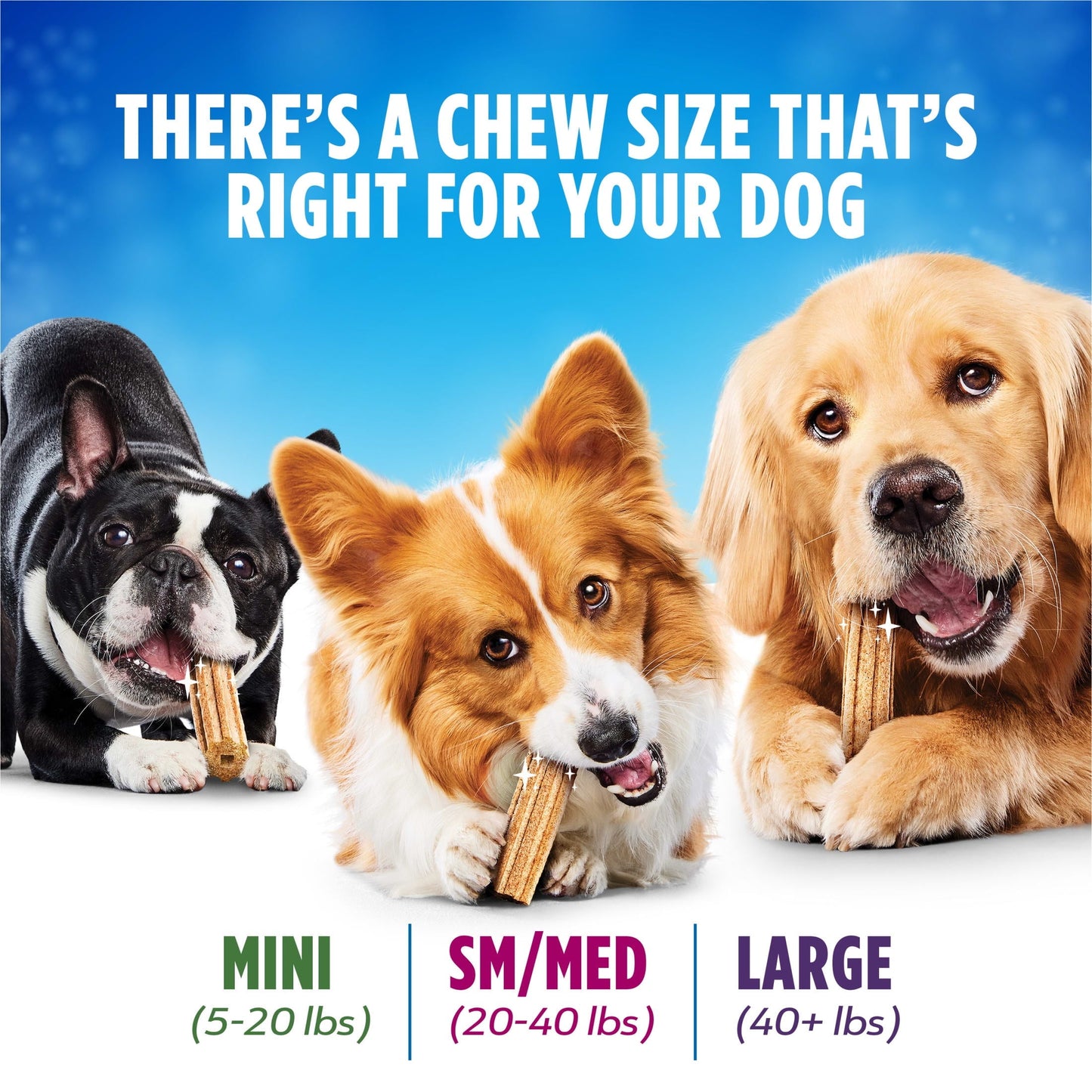 Friandises dentaires Purina Daily Oral Care pour grands chiens au poulet