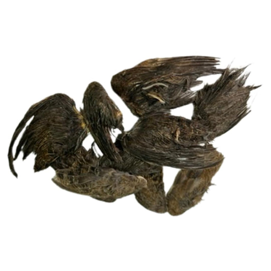 Alas de codorniz Undique para entrenamiento canino, tamaño pequeño (10 unidades)