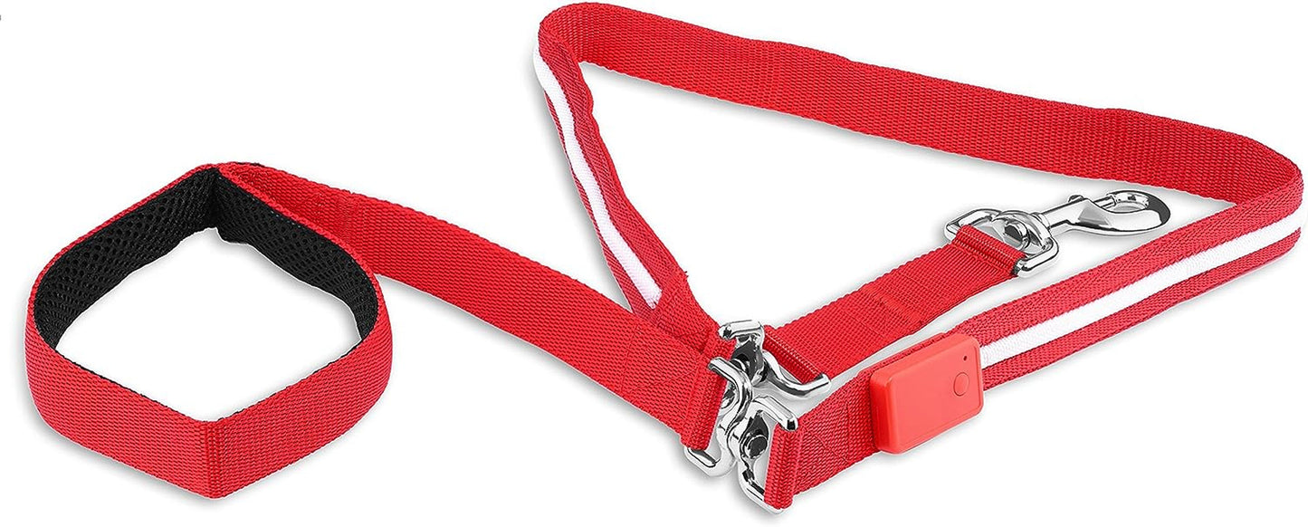 Correa LED para perros - Luz recargable por USB, 1,8 m, resistente al agua