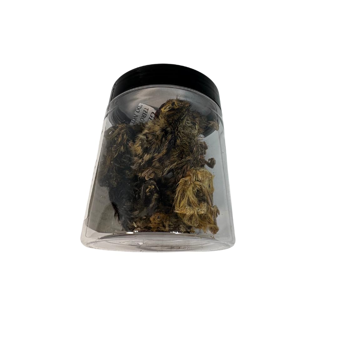 Golosinas de codorniz enteras, 10 unidades - Golosinas pequeñas deshidratadas premium para gatos y perros