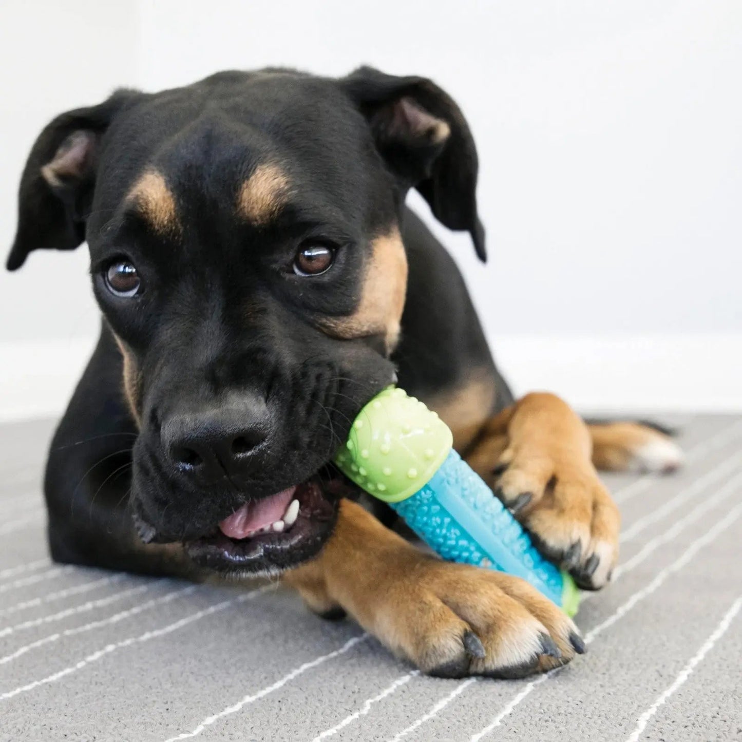 Kong Corestrength Grande Balle à Mâcher Verte pour Chiens - Jouet de Soin Dentaire à Lancer