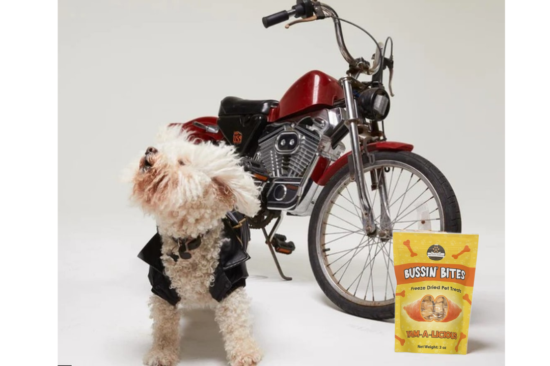 Friandises lyophilisées de haute valeur, composées d'un seul ingrédient, pour chiens et chats - Patate douce