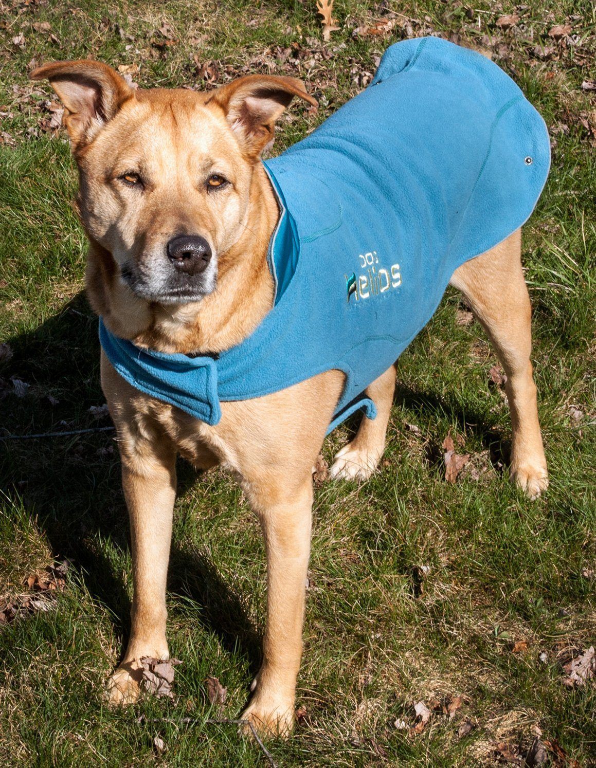 Dog Helios ® Lotus-Rusher 2-in-1 Dual-Removable Layered Performance Dog Jacket