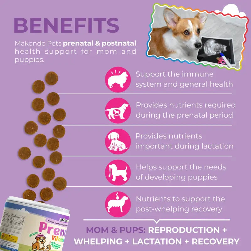 Vitaminas prenatales para perros - 120 comprimidos masticables blandos