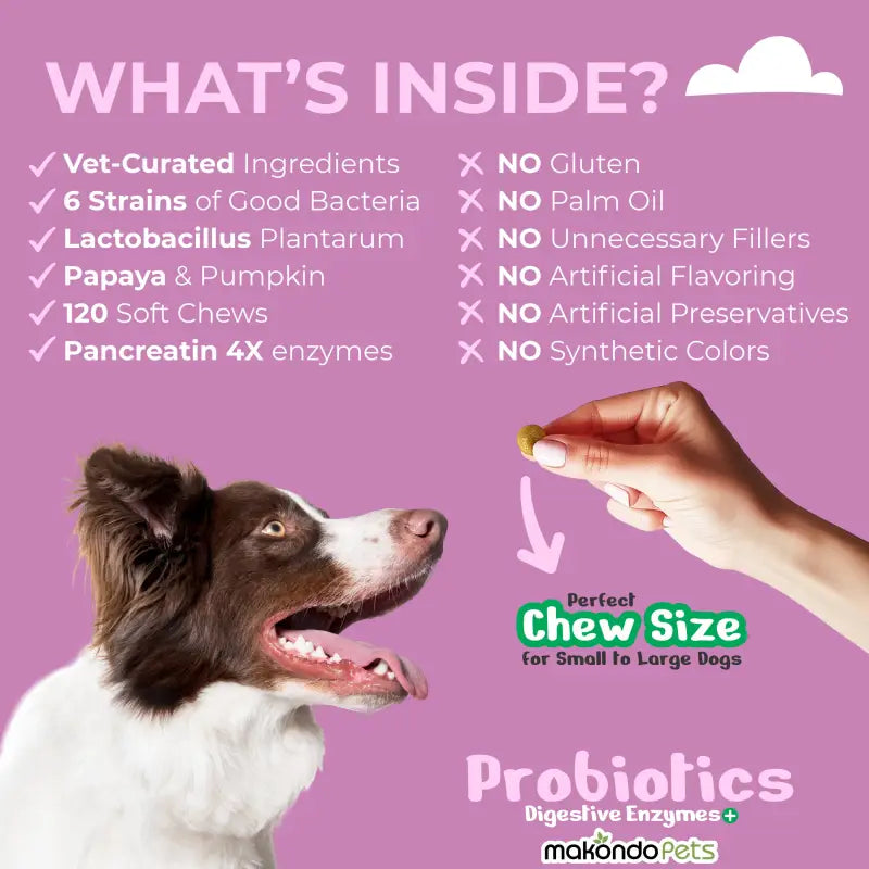 Enzimas digestivas probióticas para perros - 120 comprimidos masticables blandos