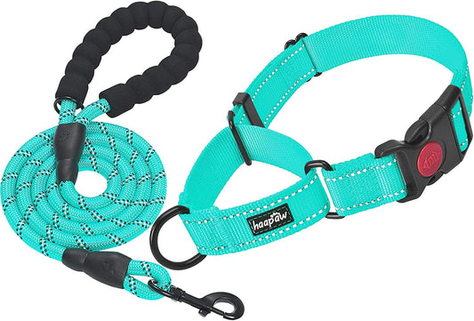 Lot de 2 colliers de dressage pour chiens de petite, moyenne et grande taille
