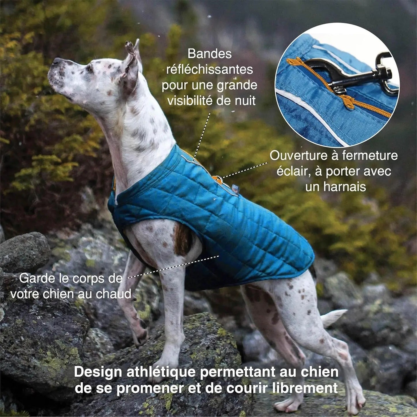 Chaqueta para perros Loft - Abrigo reversible y acogedor para aventuras al aire libre - Resistente al agua - Corte deportivo - Tejido lavable a máquina - Reflectante - Talla mediana - Rojo chile