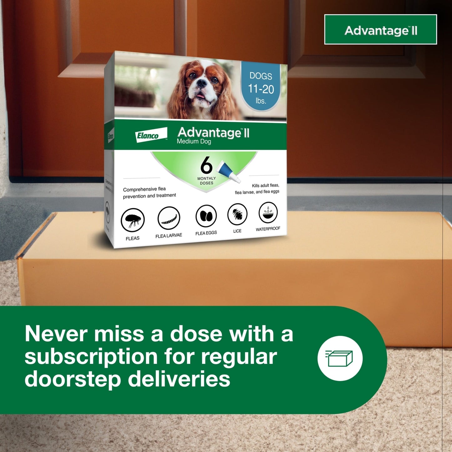 Prevención de pulgas recomendada por veterinarios para perros medianos de 5 a 9 kg (tratamientos semestrales)