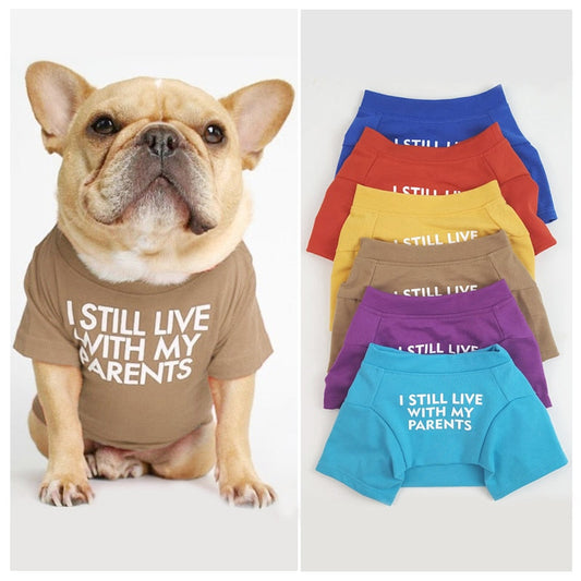 T-shirt « Je vis encore chez mes parents »