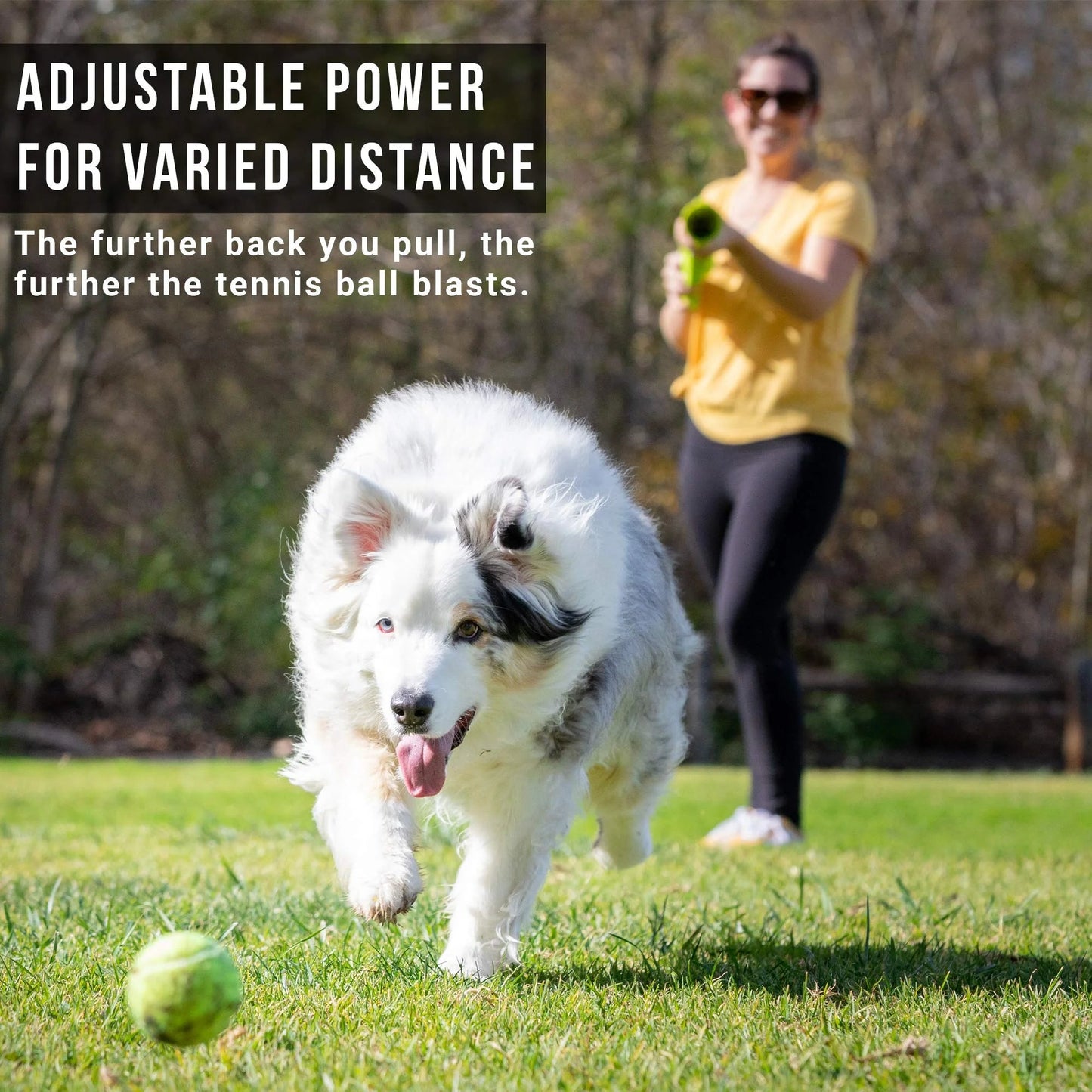 Lanceur de balles de tennis pour chien K9 Kannon