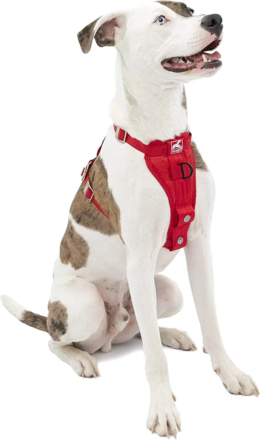Arnés para coche Tru-Fit de resistencia mejorada para perros - Probado contra choques para mayor seguridad - Placa de pecho ancha - Hebillas anidadas de acero - Incluye correa de seguridad - Rojo - Mediano