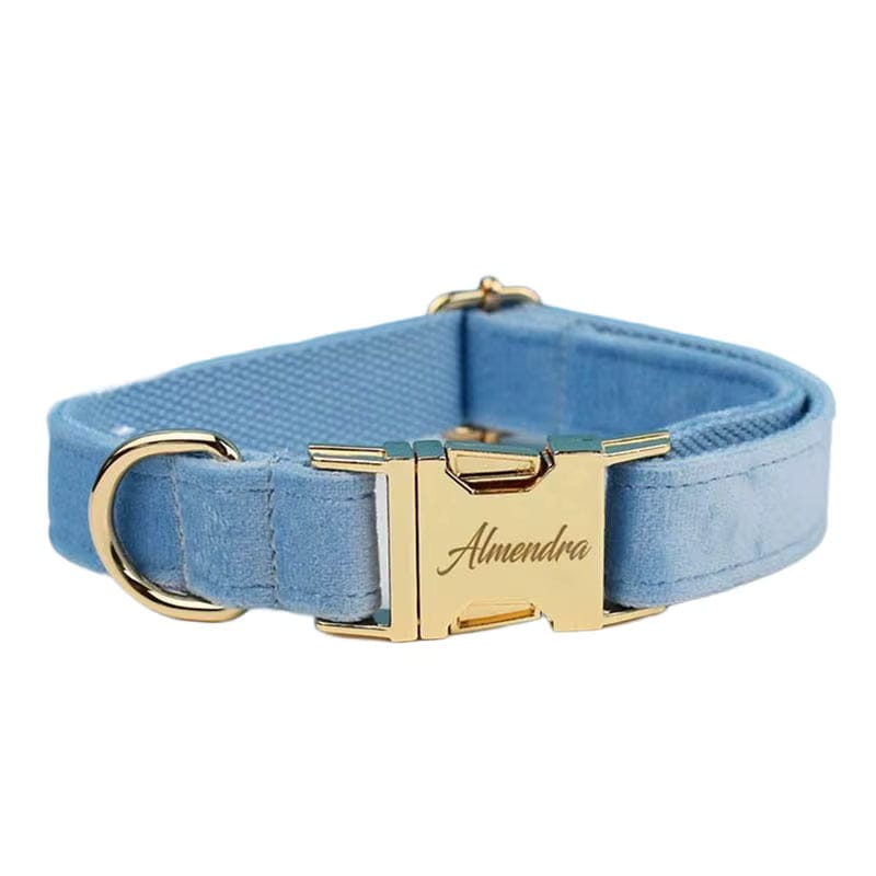 Ensemble classique personnalisé en velours bleu