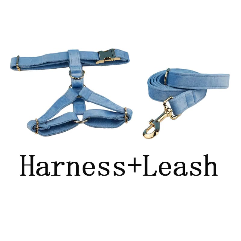 Ensemble classique personnalisé en velours bleu
