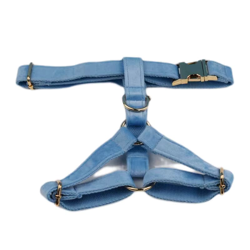 Ensemble classique personnalisé en velours bleu