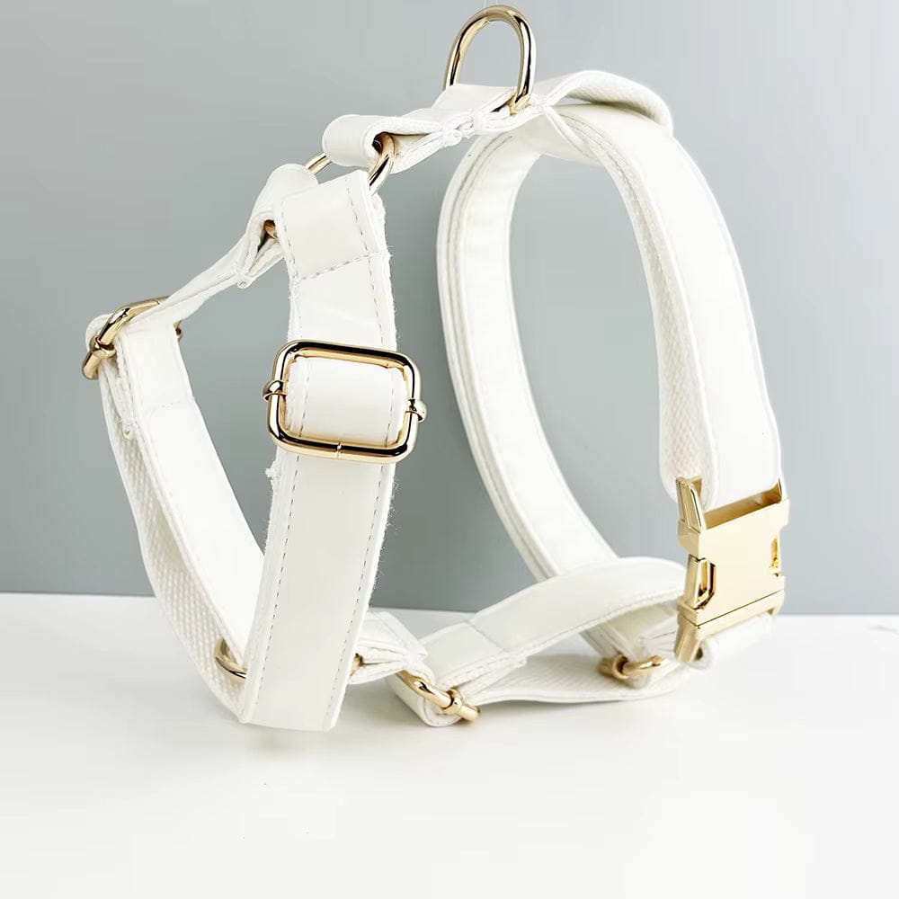 Conjunto clásico de cuero blanco personalizado