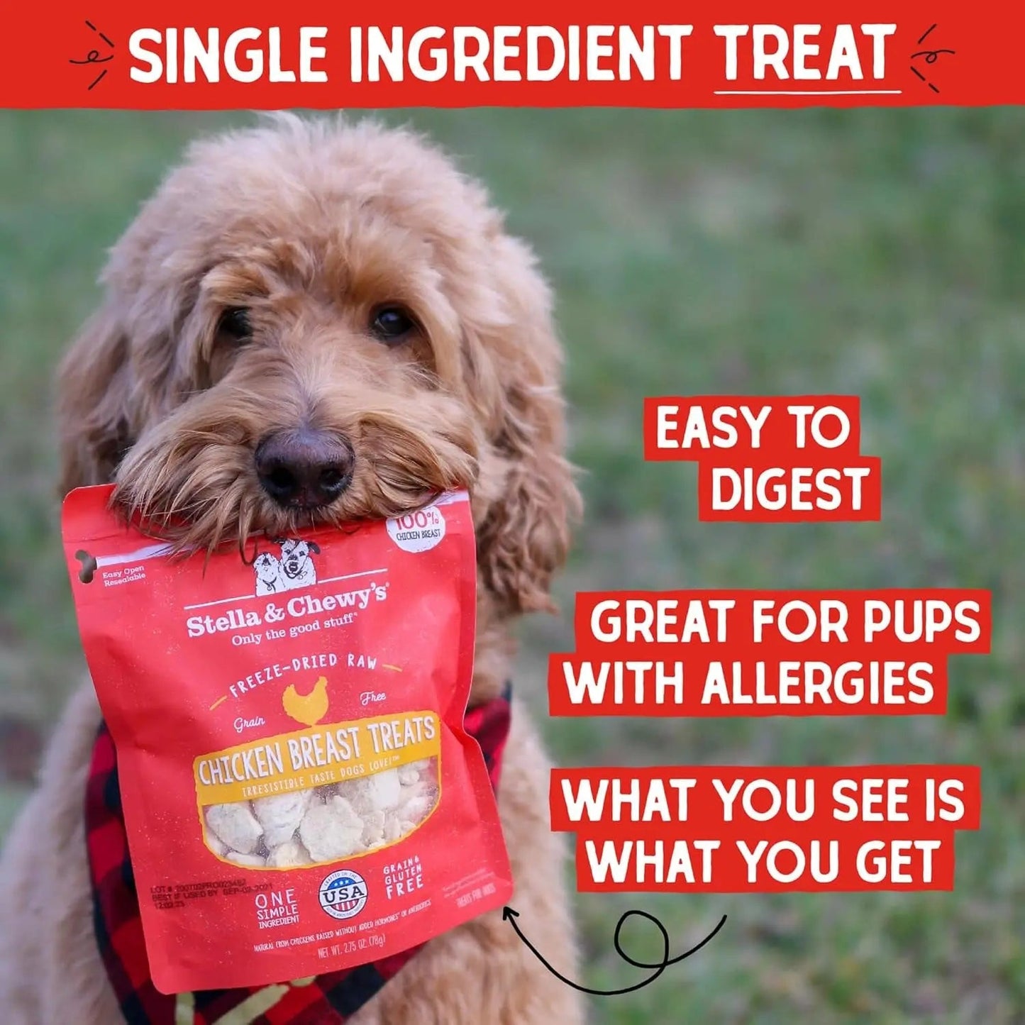 Freeze-Dried Raw Chicken Breast Dog Treats - Single Ingredient, No Additives - Premium Training Treats - Perfect for Picky Eaters - 2.75Oz Bag