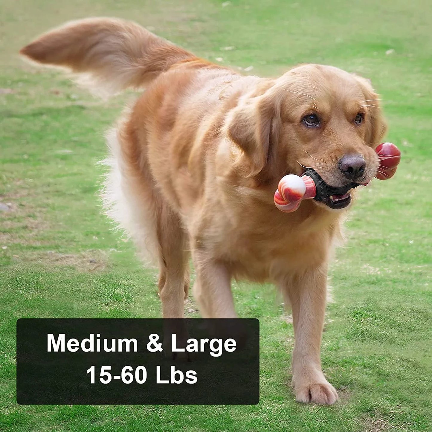 Jouets pour chiens à mâchoires agressives - Os