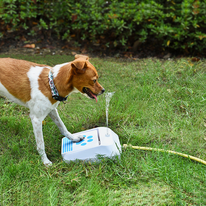 Distributeur d'eau intelligent pour chiens