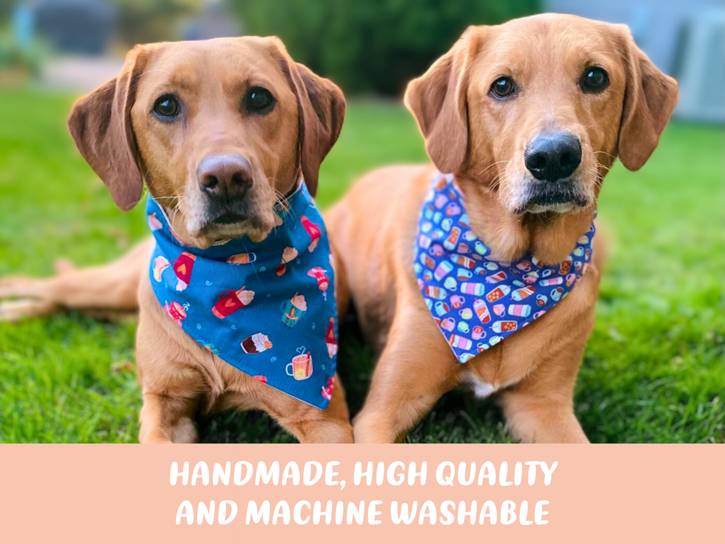 Bandana para perros "Aventura"