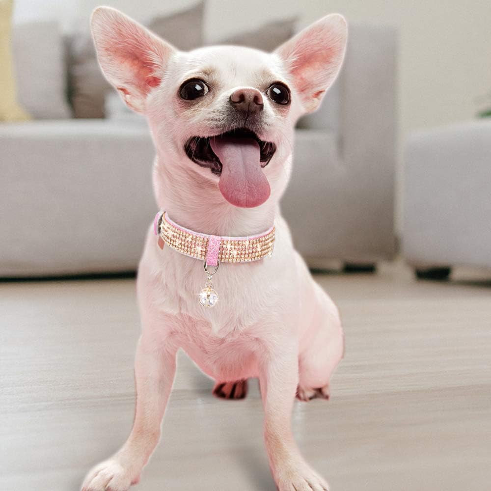 Collares ajustables para gatos y perros