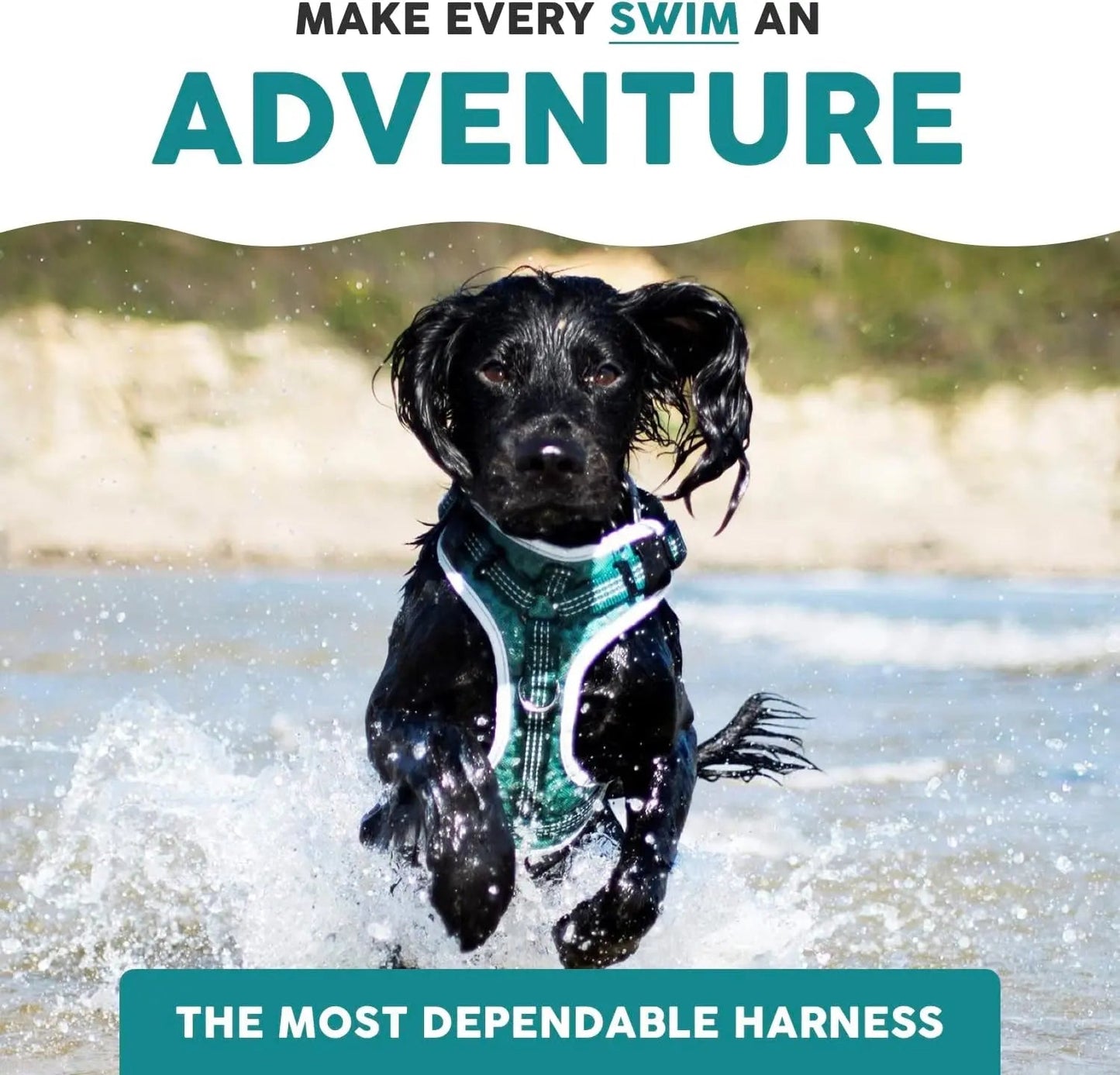 Harnais pour chien Embark Sports, harnais anti-traction pour grands chiens, léger et respirant - Facile à mettre et à enlever, idéal pour le dressage sans traction, taille ajustable, anti-étranglement avec poignée de contrôle. Gilet turquoise