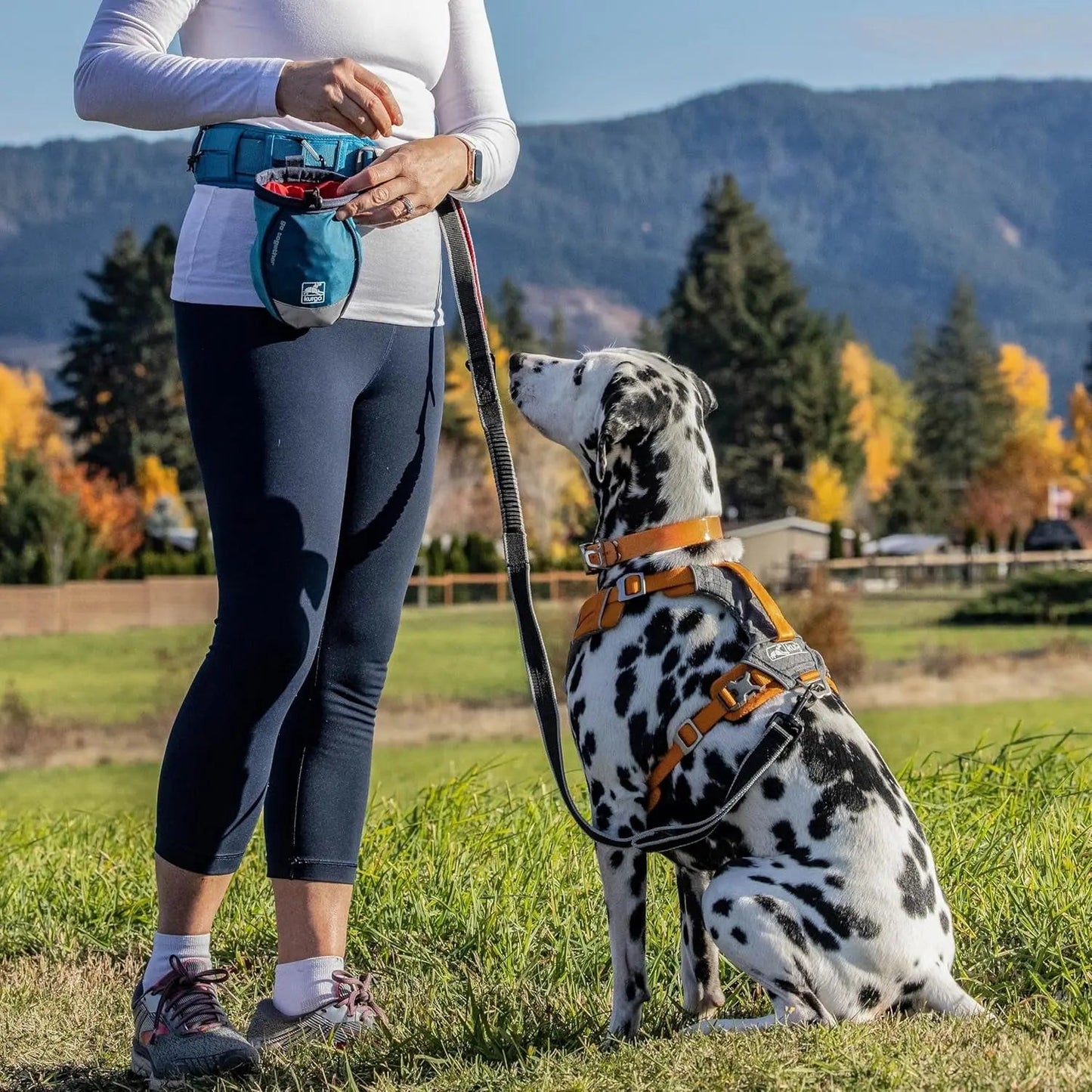 G-Train Dog Carrier Backpack - Comfortable Travel Bag for Pets up to 25 Lbs - Waterproof Bottom - Multi-Compartment Pack - Dog Hiking Gear - Rugged Adventure Backpack - Ink Blue